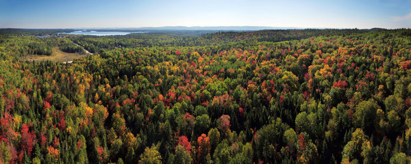 Aerial panorama of colorful forest - 173060474