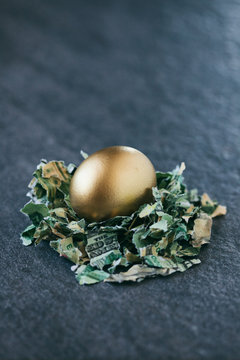 Easter: Golden Egg Sits In Nest Of Shredded Money