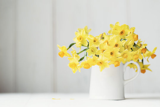 Daffodils in a jug