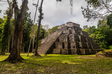 Pyramid of Maler group at the archaeological site Yaxha, Guatemala
