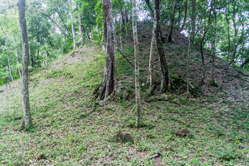 Ruins covered by thick jungle at the archaeological site Yaxha, Guatemala