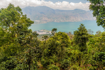 Fototapeta na wymiar Atitlan lake in Guatemala. The closest village is San Pedro, picture taken from San Pedro volcano.