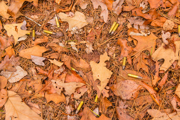 Several empty cases lying on the ground with dry leaves and needles