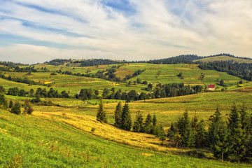 Carpathians fields in the morning. Ukraine
