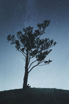 Man Sitting Under Tree On Hill with Stars