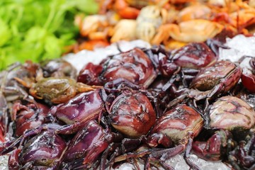 Crab on ice for cooking in street food