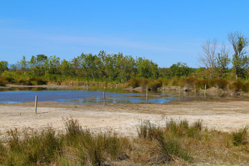 TOUR CARBONIERE