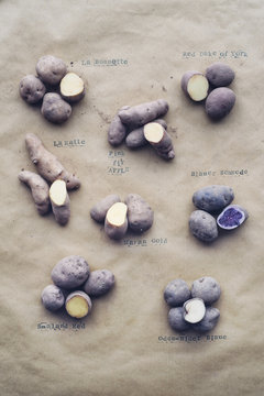 Food: Different sorts of Potatos with printed Names