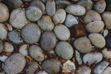 Sea stones background with autumn leaves