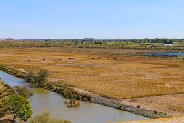 TOUR CARBONIERE