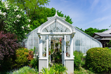 white vintage greenhouse in garden