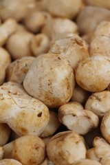 Fresh mushrooms for cooking in the market