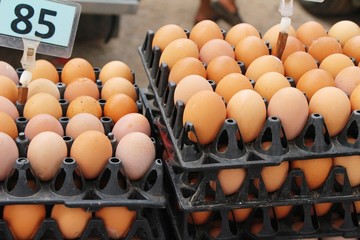 Egg in the panel at the market