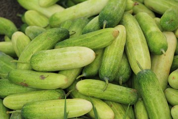 Fresh cucumbers for cooking in the market