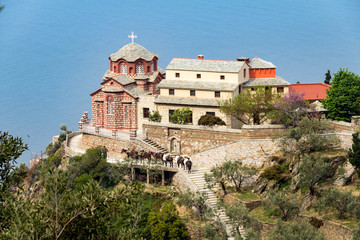 Fototapete bei efototapeten.de bestellen   