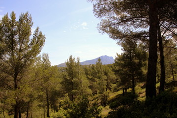 Obraz premium Sri Lanka