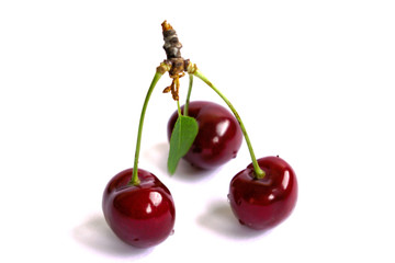 Closeup of cherries on a white background
