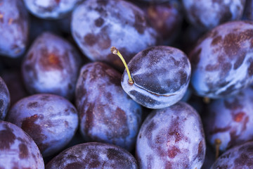 Ripe juicy plums. Violet fruits.