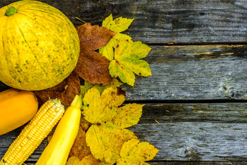Autumn background. Composition of pumpkin with zucchini and corn on a yellow leaf on old wooden boards. Copy of space for writing text.   © Vasyl  Diachuk