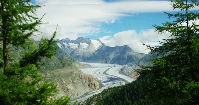 Aletsch glacier with trees in foreground - Shot on RED Digital Cinema Camera at 5K