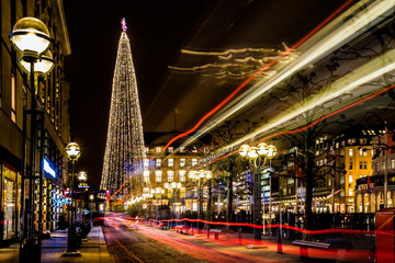 Fototapeta na wymiar Hamburgs Christmas tree at Town hall