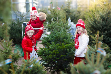 Kids selecting Christmas tree. Xmas gifts shopping.