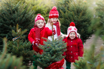 Kids selecting Christmas tree. Xmas gifts shopping.