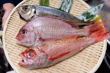 ザルに乗った鯛や鯵などの鮮魚