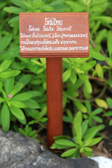 Panneau en bois avec inscriptions thaïlandaises. Wat Pho - Wat Phra Chettuphon.  1788. Bangkok. / Wat Pho - Wat Phra Chettuphon.  1788. Bangkok.