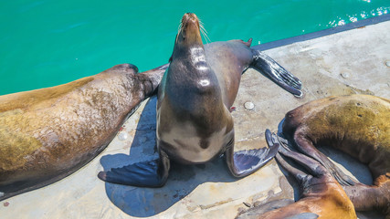 Visiting Santa Barbara in California