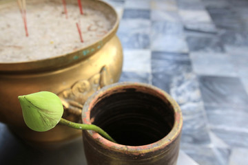 Lotus. Wat Pho - Wat Phra Chettuphon.  1788. Bangkok. / Lotus. The South Vihara. Wat Pho - Wat Phra Chettuphon.  1788. Bangkok.