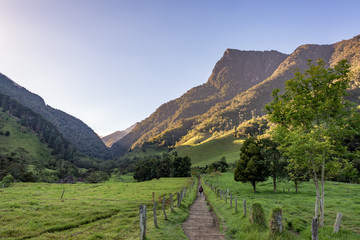 Hiking in Cocora Valley