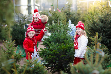 Kids selecting Christmas tree. Xmas gifts shopping.