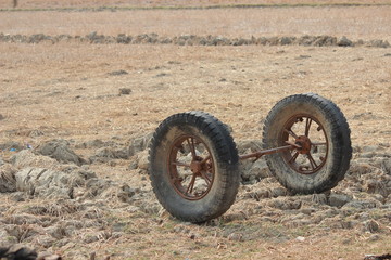 Fototapeta premium Two whells