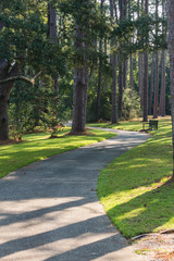 Pathway through Gardens