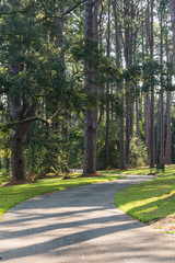 Pathway through Gardens