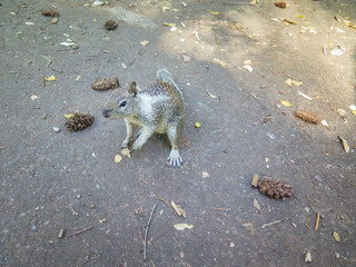 Visiting Yosemite in California