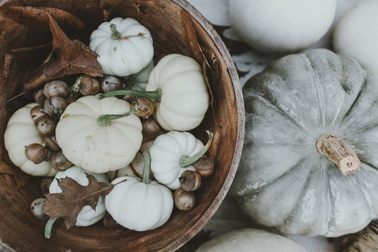 White pumpkins