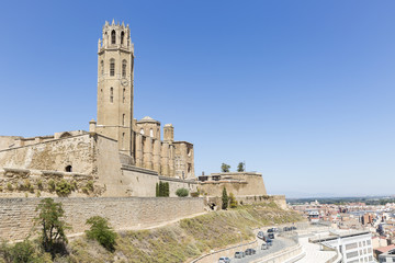 Fototapeta na wymiar a view over Lleida city and the old Cathedral of St Mary of La Seu Vella, Catalonia, Spain