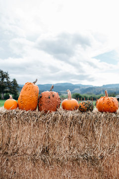 Pumpkins lined up on hay bales outside