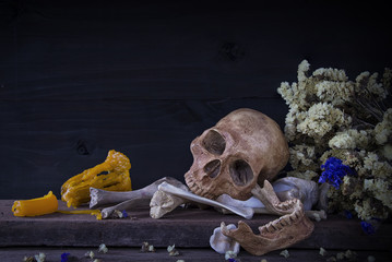 Still life with human skulls and bones on the wooden table.