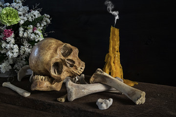 Still life with human skulls and bones.