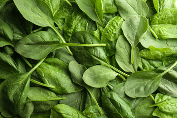 Fototapeta na wymiar Fresh spinach leaves as background