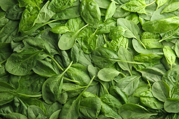 Fototapeta na wymiar Fresh spinach leaves as background