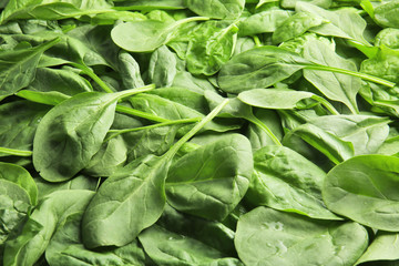 Fresh spinach leaves as background