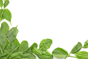 Fresh spinach leaves on white background