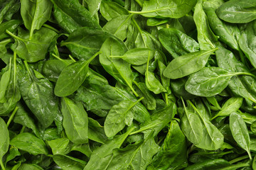 Fresh spinach leaves as background