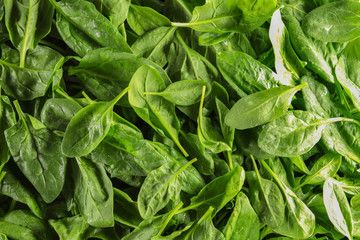 Fresh spinach leaves as background