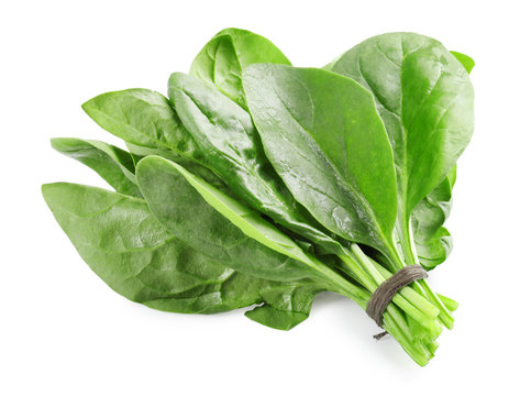 Bunch Of Spinach On White Background