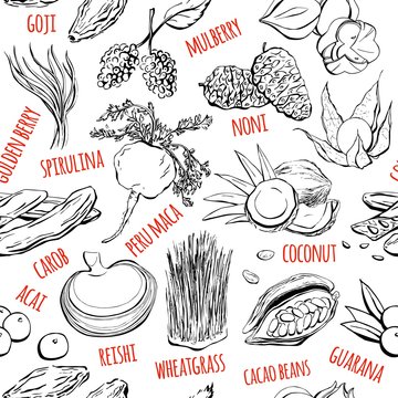 Vector seamless pattern with hand drawn doodle super foods. Black sketchy fruits, plants and berries and their names on white background for print, wrapping paper, web backdrop and other design.